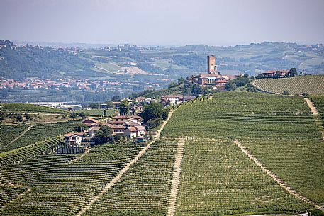 Langa of Barbaresco Landscape